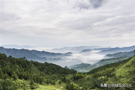 湖北利川哪些有跑馬：從歷史到現代的探索