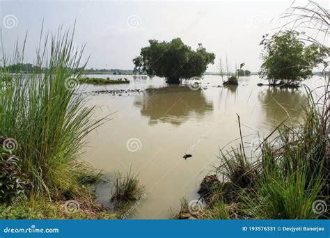 西溪溼地哪個口 雨後西溪溼地的氣息